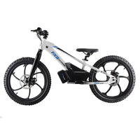 HKM-366419 Children's Electric Balance Bike with Disc Brake, 400W/600W Power, 20-Inch Aluminum Frame, Max Speed 45 km/h, Waterproof Design