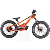 HKM-366419 Children's Electric Balance Bike with Disc Brake, 400W/600W Power, 20-Inch Aluminum Frame, Max Speed 45 km/h, Waterproof Design