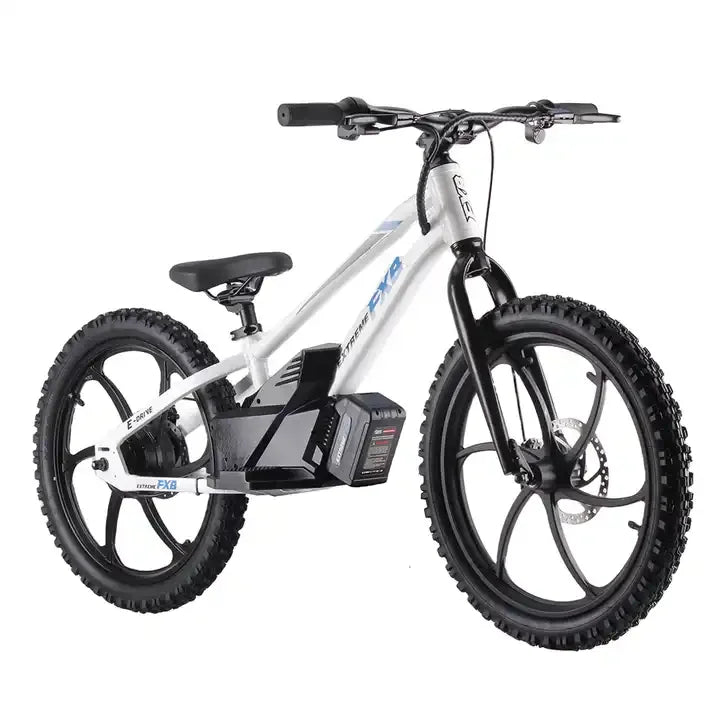HKM-366419 Children's Electric Balance Bike with Disc Brake, 400W/600W Power, 20-Inch Aluminum Frame, Max Speed 45 km/h, Waterproof Design