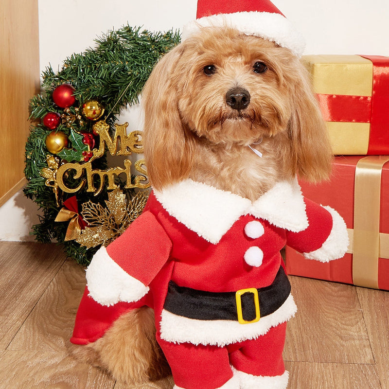 HKM-3669437 Red Cartoon Dog Costume for Small Pets - XS to XL Size, Includes Clothes and Cap