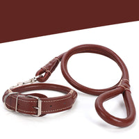 HKM-3673021 Medium to Large Leather Dog Collar with Traction Rope for Golden Retriever and Husky