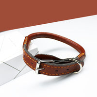 HKM-3673021 Medium to Large Leather Dog Collar with Traction Rope for Golden Retriever and Husky