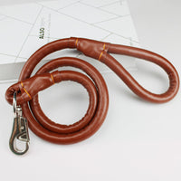 HKM-3673021 Medium to Large Leather Dog Collar with Traction Rope for Golden Retriever and Husky