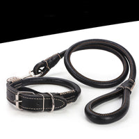 HKM-3673021 Medium to Large Leather Dog Collar with Traction Rope for Golden Retriever and Husky
