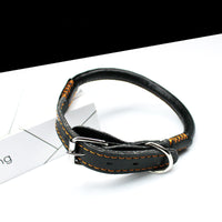 HKM-3673021 Medium to Large Leather Dog Collar with Traction Rope for Golden Retriever and Husky
