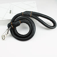 HKM-3673021 Medium to Large Leather Dog Collar with Traction Rope for Golden Retriever and Husky