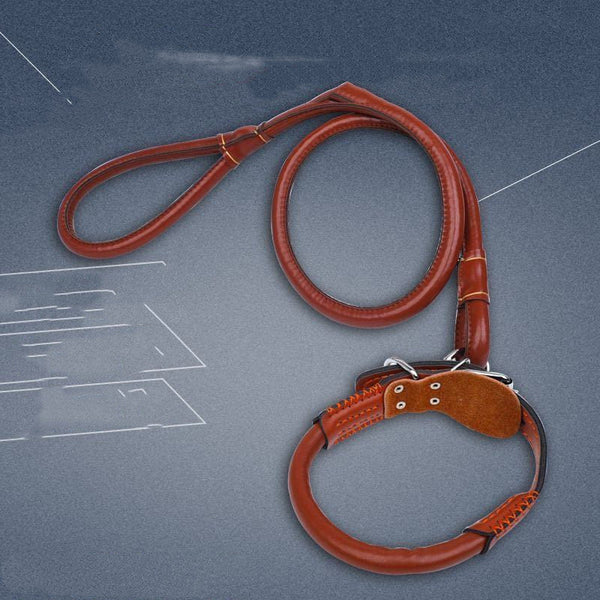 HKM-3673021 Medium to Large Leather Dog Collar with Traction Rope for Golden Retriever and Husky