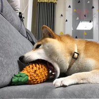 HKM-3681597 Chewable Fruit-Shaped Dog Toy for Teeth Cleaning and Playtime Fun