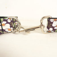 HKM-3686333 Stylish Polyester Dog Collar with Bow and Rope Set