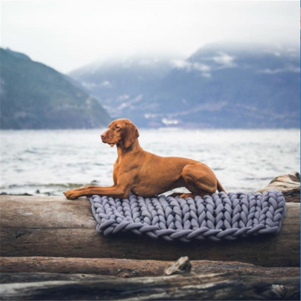 HKM-3688381 Machine Washable Polyester-Cotton Blend Pet Mat - 30x50cm to 70x90cm Available in Multiple Colors