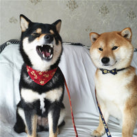 HKM-3692861 Adjustable Leather Pet Collar and Leash Set - Blue Triangle Scarf and Bow Design