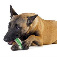HKM-3693117 Crunchy Bone Toy for Dogs - Safe, Bite-Resistant Gnawing Toy with Wood Scent and Edible Sawdust