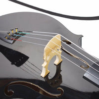 HKM-369555 Basswood Cello in Sleek Black Finish for Musicians