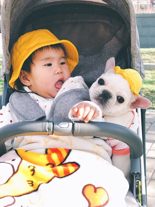HKM-3698621 Cute Fisherman Hat for Pets - Two Sizes Available, Adjustable Canvas with Elastic Straps