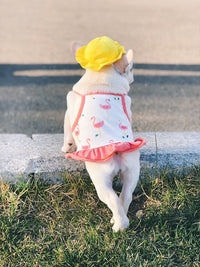 HKM-3698621 Cute Fisherman Hat for Pets - Two Sizes Available, Adjustable Canvas with Elastic Straps