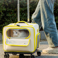 HKM-3701309 Stylish Medium Hardness Cat Backpack Trolley Bag - 32L Oxford Material