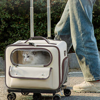HKM-3701309 Stylish Medium Hardness Cat Backpack Trolley Bag - 32L Oxford Material