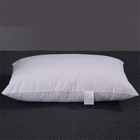 HKM-370579 White Goose Feather Pillow with Pure Cotton Fleece-Proof Fabric - 48x74cm