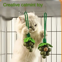 HKM-3706429 Catnip Mint Ball Grape Skewers - Teething & Bite Resistant Fruit Toys for Cats, 2cm Diameter Balls