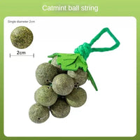 HKM-3706429 Catnip Mint Ball Grape Skewers - Teething & Bite Resistant Fruit Toys for Cats, 2cm Diameter Balls