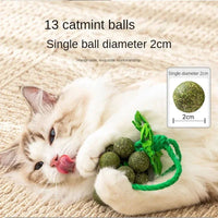 HKM-3706429 Catnip Mint Ball Grape Skewers - Teething & Bite Resistant Fruit Toys for Cats, 2cm Diameter Balls
