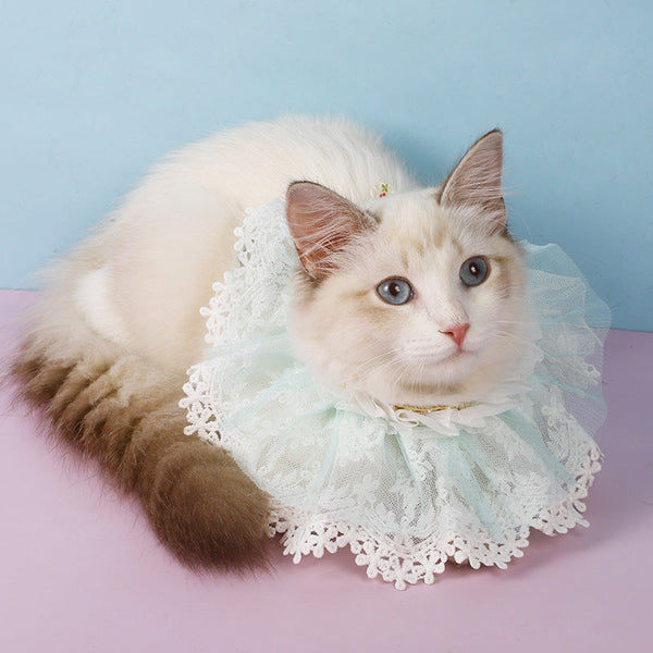 HKM-3711549 Princess Style Lace Scarf Collar for Cats - Pink, Light Blue, Beige, Four Seasons