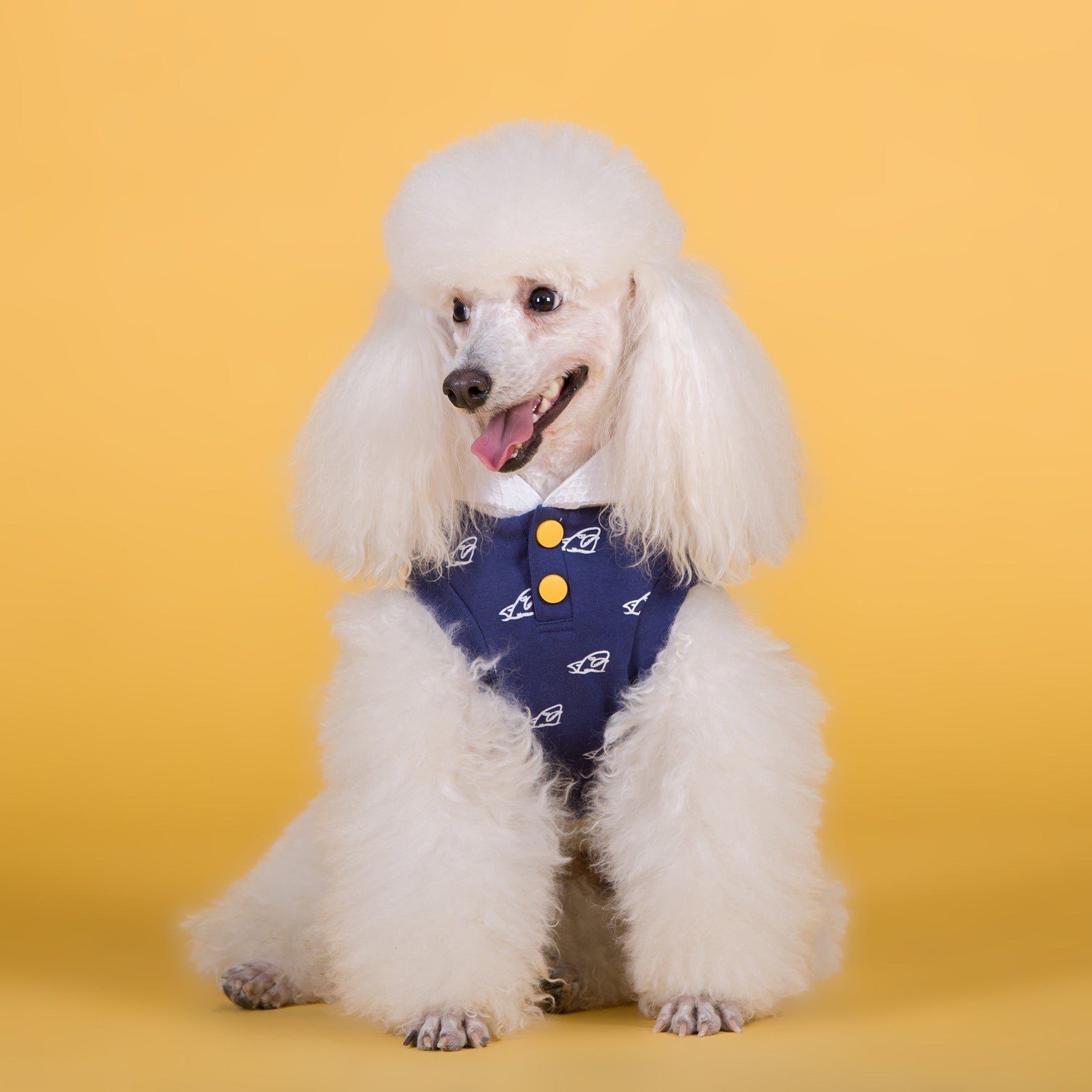 HKM-3714109 Cotton Stretch Dog Clothes for Spring and Summer, Casual Bipedal Wear in Blue and Yellow