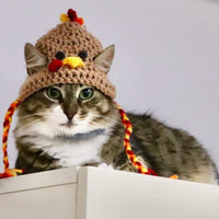 HKM-3717693 Knitted Cartoon Pet Hat for Cats and Dogs ¨C Four Seasonal Styles in Coffee, Black, and Pumpkin Colors