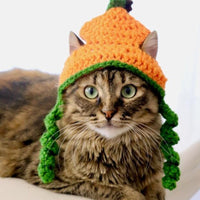 HKM-3717693 Knitted Cartoon Pet Hat for Cats and Dogs ¨C Four Seasonal Styles in Coffee, Black, and Pumpkin Colors