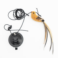 HKM-3720125 Hanging Door Cat Teaser Toy in Various Bird Designs