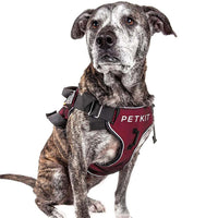HKM-372627 Adjustable Nylon Pet Vest Chest Strap for Dogs - Multiple Sizes Available