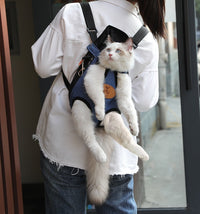 HKM-3727293 Cartoon Patterned Canvas Portable Cat Backpack for Spring Outings - Multiple Sizes Available