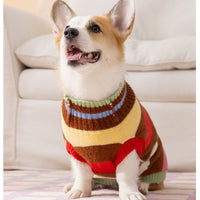 HKM-3729597 Medium-Sized Dog Pullover Sweater with Playful Cherry Design and Vibrant Multicolor Stripes