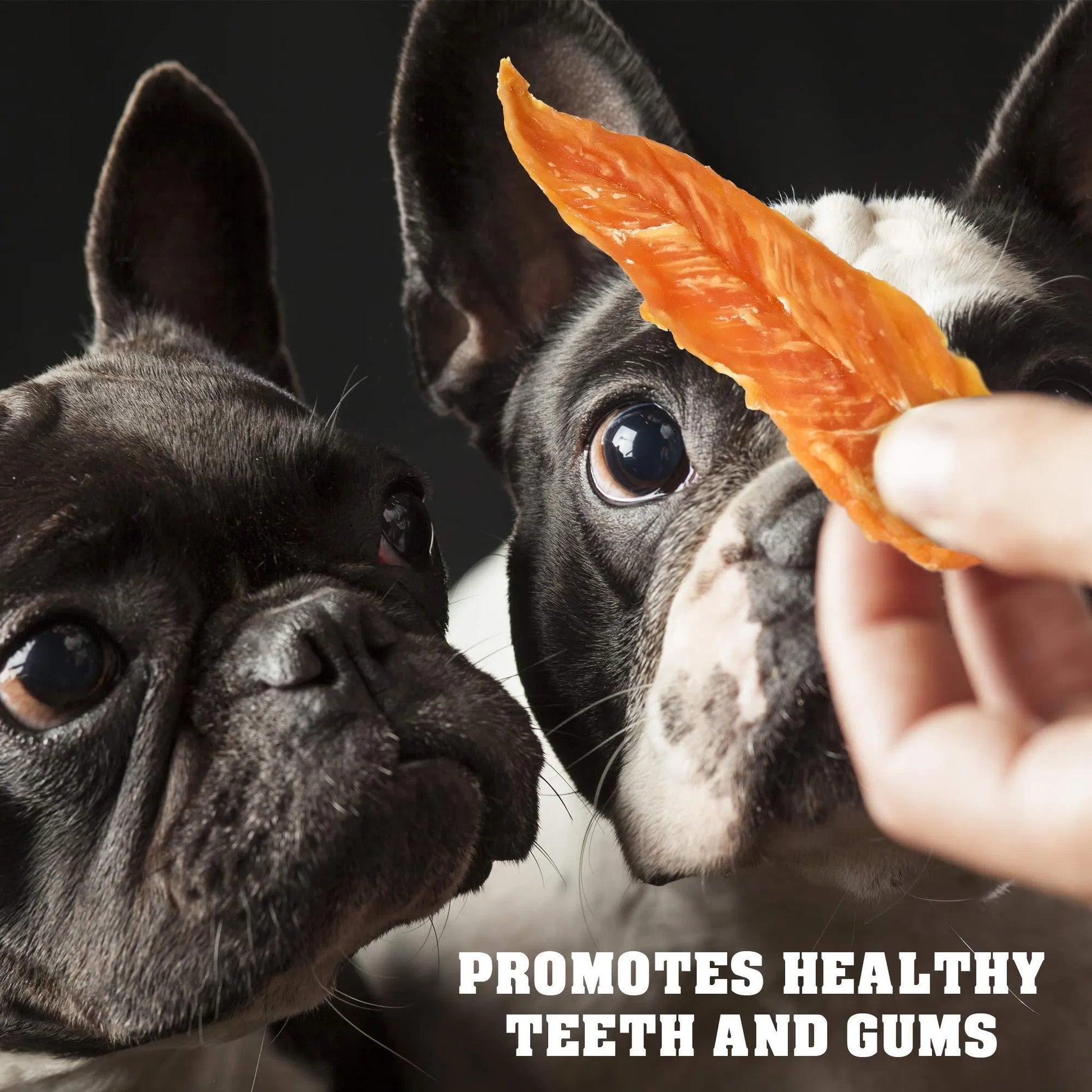 HKM-3730877 Chicken Jerky Dog Treats, 1.5 Lb - All Natural, Grain Free, High Protein Snack for Dogs of All Sizes