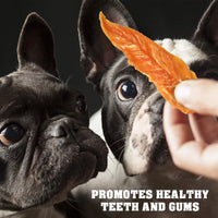 HKM-3730877 Chicken Jerky Dog Treats, 1.5 Lb - All Natural, Grain Free, High Protein Snack for Dogs of All Sizes