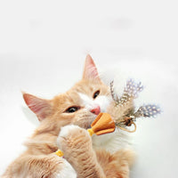 HKM-3732285 Cat Molar Stick Made from Natural Polygonum Wood for Healthy Dental Chewing