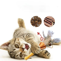 HKM-3732285 Cat Molar Stick Made from Natural Polygonum Wood for Healthy Dental Chewing