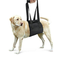 HKM-373779 Pet Assistance Dog Leash Auxiliary Belt for Easy Car and Stair Access