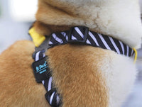 HKM-3740349 Durable Adjustable Dog Chest Strap with Traction Rope for Small to Large Breeds