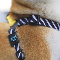 HKM-3740349 Durable Adjustable Dog Chest Strap with Traction Rope for Small to Large Breeds