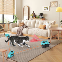 HKM-374355 Cat Weight Loss Remote Control Sound Toy