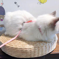 HKM-3746109 Breathable Cloth I-Shaped Chest Strap for Cats and Small Dogs in Fresh Colors