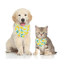 HKM-374611 Triangular Binder Pet Accessory with Fruit Patterns for Cats and Dogs