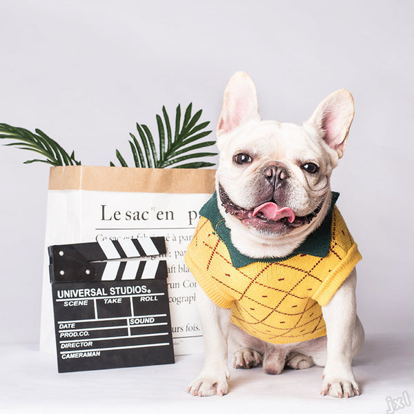 HKM-3750077 Cozy Cotton Dog Sweater in Yellow - Japanese and Korean Style, Multiple Sizes Available
