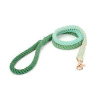 HKM-3751869 Colorful Hand-Dyed Woven Cotton Rope Dog Leash - 1.3cm x 150cm