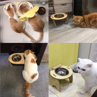 HKM-3752253 Cervical Spine Double Bowl Dog Food Stand with Wooden Base