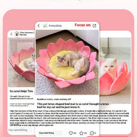 HKM-3756093 Lotus Pink Thermal Cat Nest with Ultra-Soft Crystal Material for All Seasons