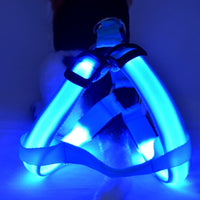 HKM-3757117 LED Luminous Dog Chest Strap with Interchangeable Leash - Multiple Colors & Flashing Modes