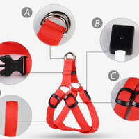 HKM-3757117 LED Luminous Dog Chest Strap with Interchangeable Leash - Multiple Colors & Flashing Modes