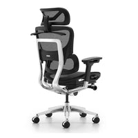 HKM-376659 Luxury Ergonomic Mesh Office Chair with Recliner Function and Headrest
